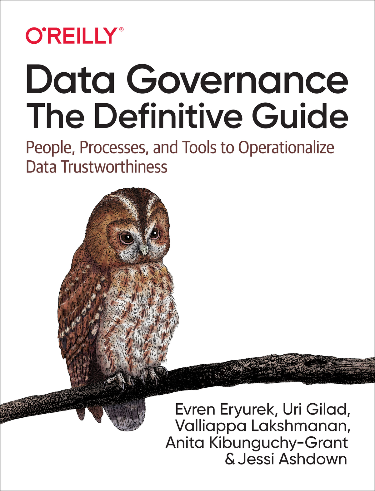 Praise for Data Governance The Definitive Guide We live in a digital world - photo 1