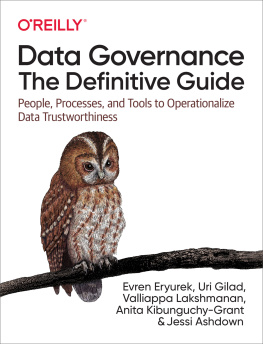 Evren Eryurek Data Governance: The Definitive Guide