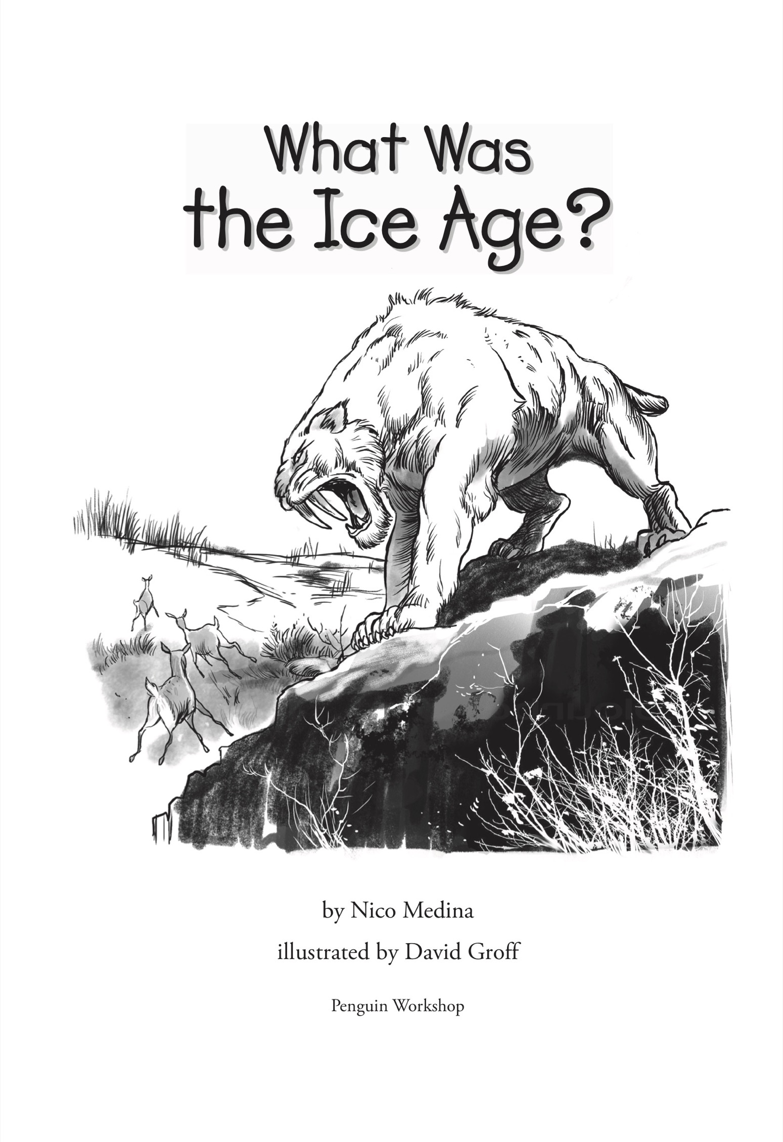 What Was the Ice Age - image 2