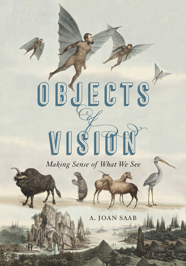 Objects of Vision Books in the Perspectives on Sensory History series - photo 1