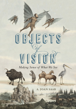 Saab A. Joan Objects of Vision