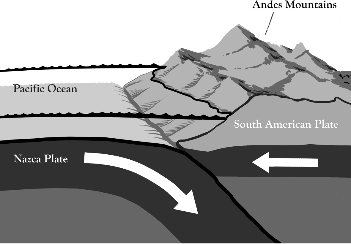 About ten million years ago the water in the freshwater lake slowly worked its - photo 11