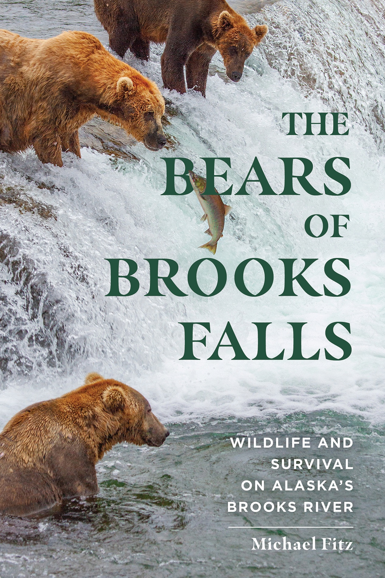 THE BEARS OF BROOKS FALLS - photo 1