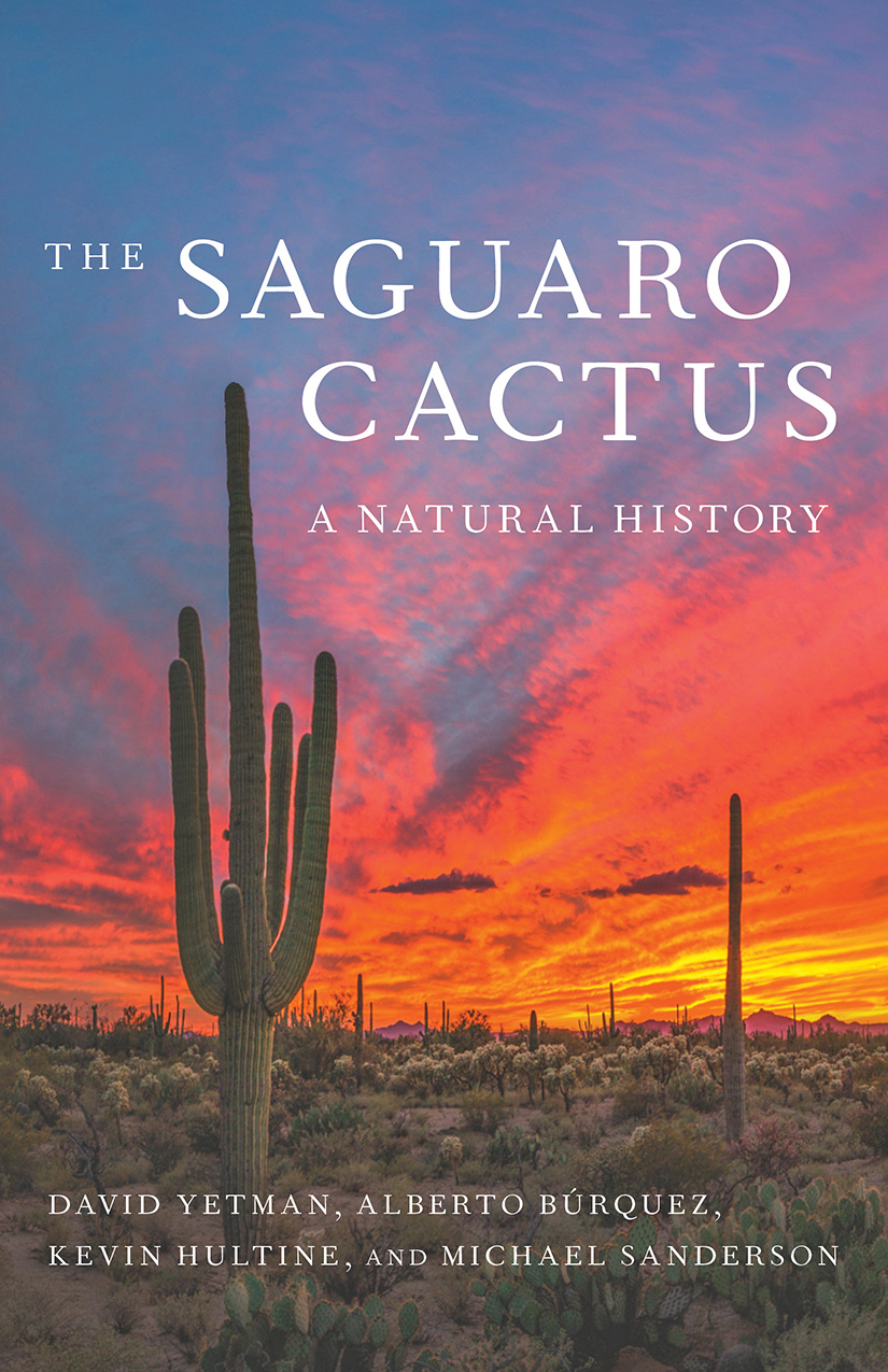 The Saguaro Cactus Gates Pass Tucson Mountains February 22 2019 Photo by - photo 1