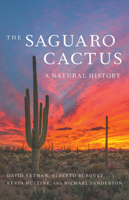 David Yetman The Saguaro Cactus: A Natural History