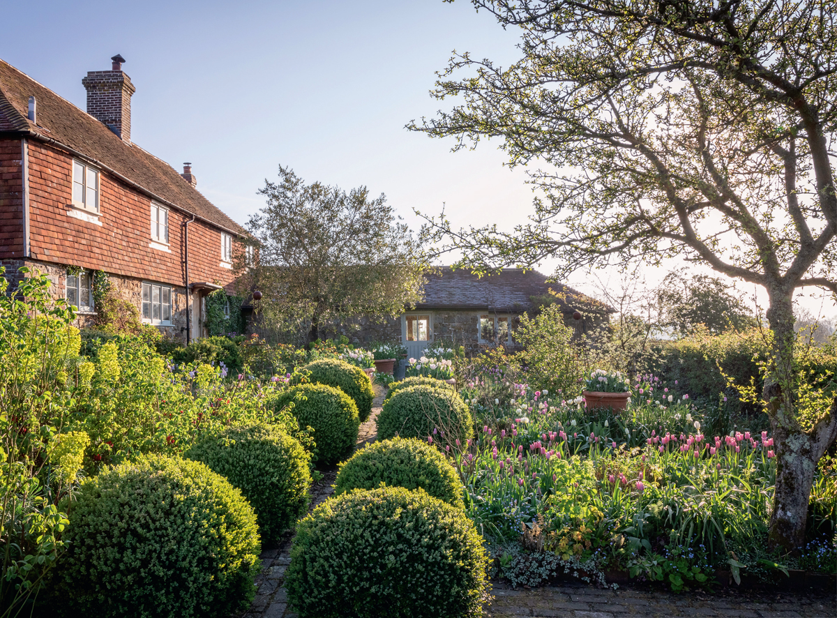 April dawn in the Farmhouse Garden where the colours are soft and cool - photo 10