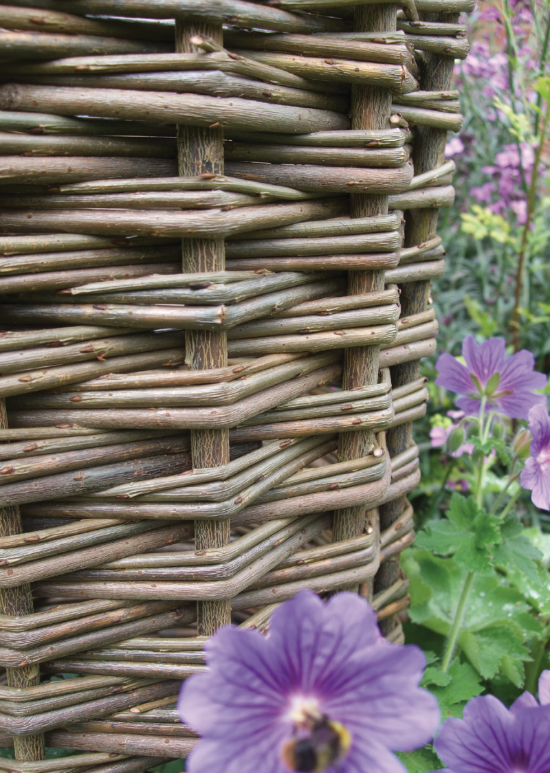 A willow planter in the garden INTRODUCTION My aim in writing this book is to - photo 4