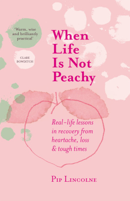 Pip Lincolne When Life is Not Peachy: Real-life lessons in recovery from heartache, grief and tough times