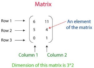 The matrices above describe a two-dimensional tensor with three rows and two - photo 1