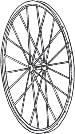 Most wheels have 36 spokes although this can also be 32 28 or 24 The more - photo 5