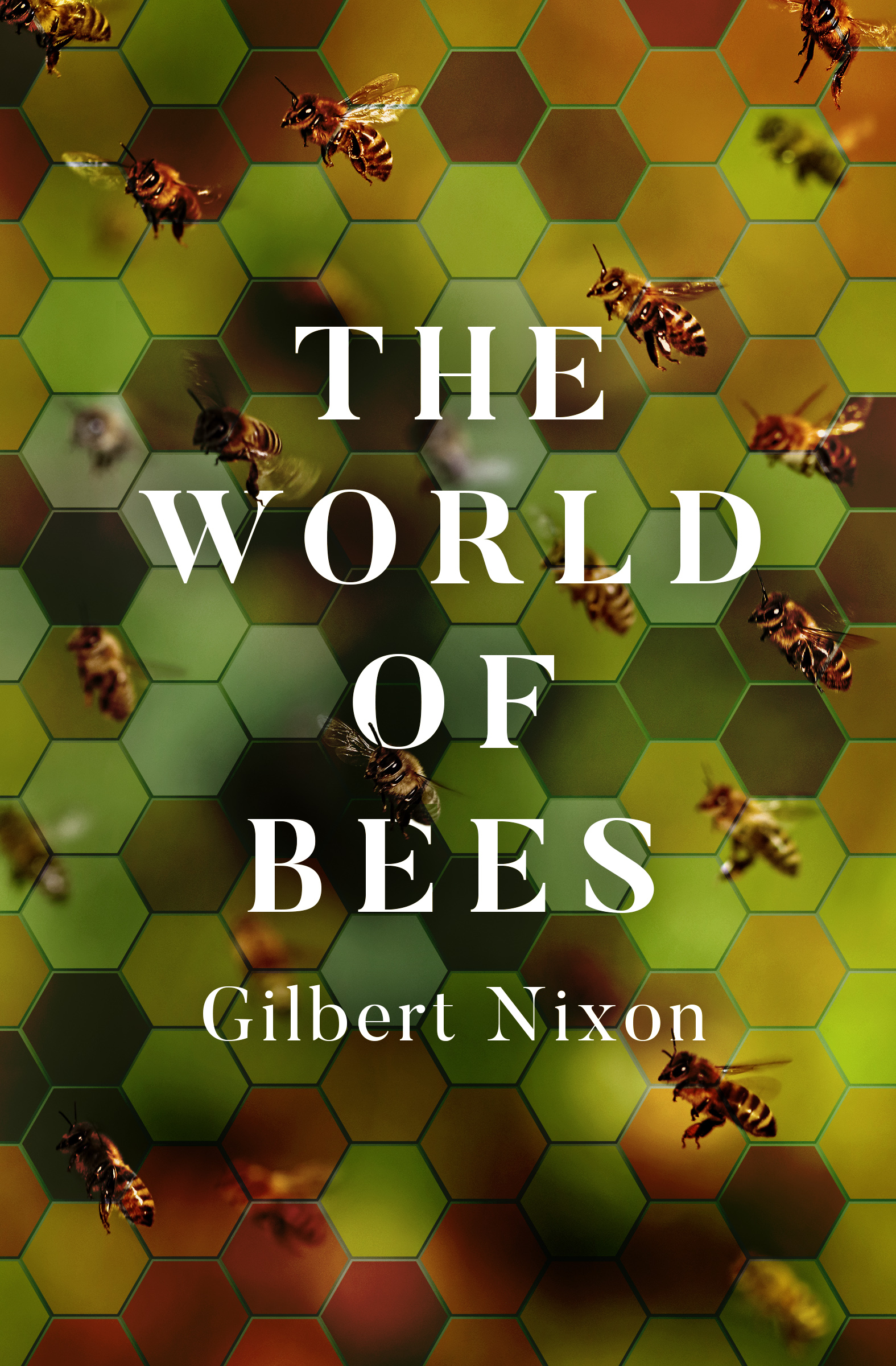 Megachile Senex The World of Bees Gilbert Nixon - photo 1