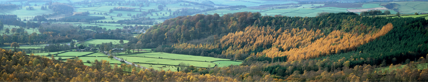 Autumn colours along the Mill Trail at Hardcastle Crags near Hebden Bridge - photo 4