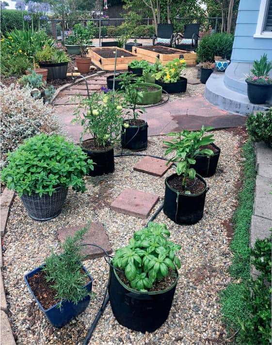 Drip irrigation is the best way to keep your grow bag garden well watered - photo 7