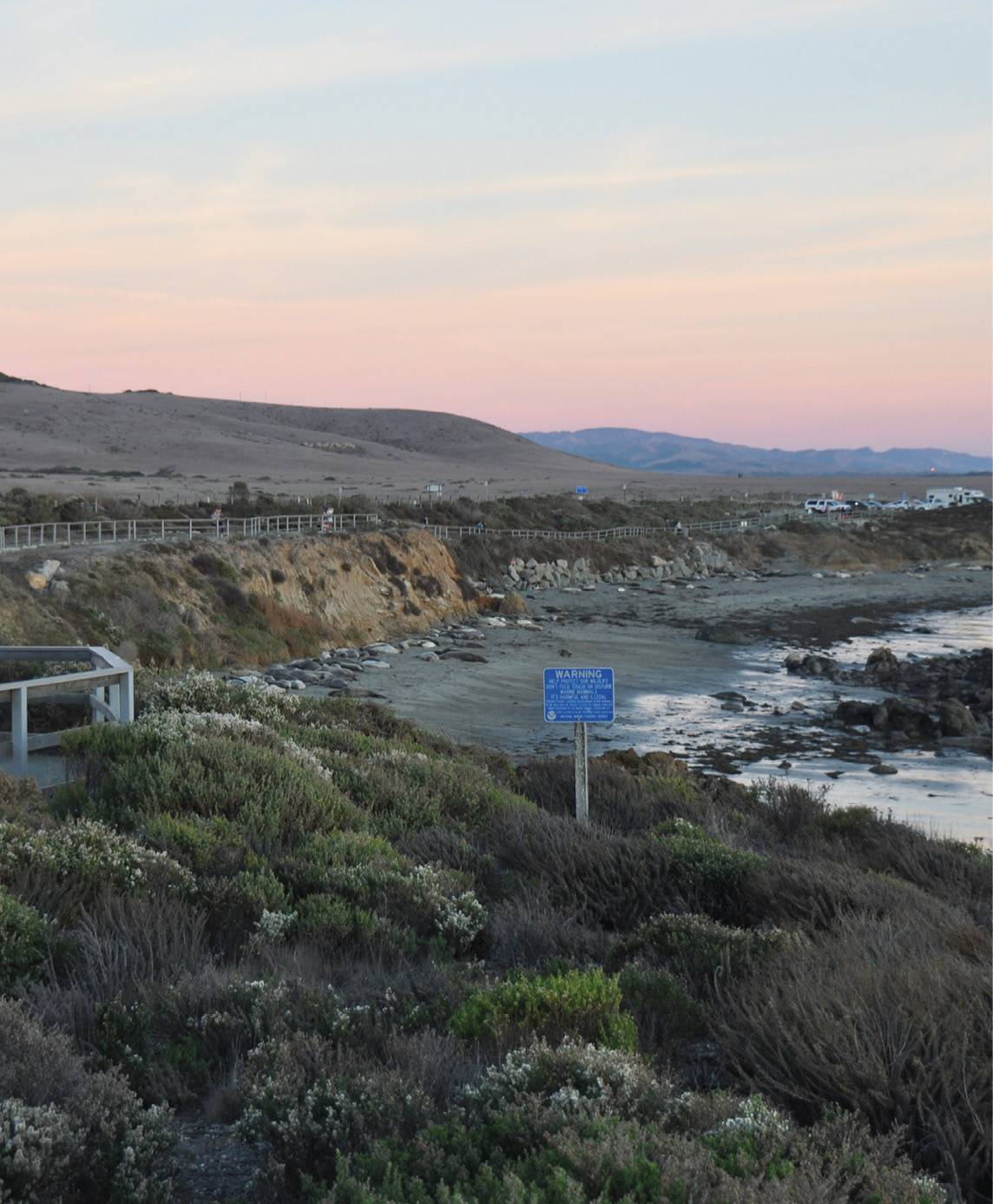 The boardwalk at Piedras Blancas near San Simeon CA offers a clear view of - photo 1