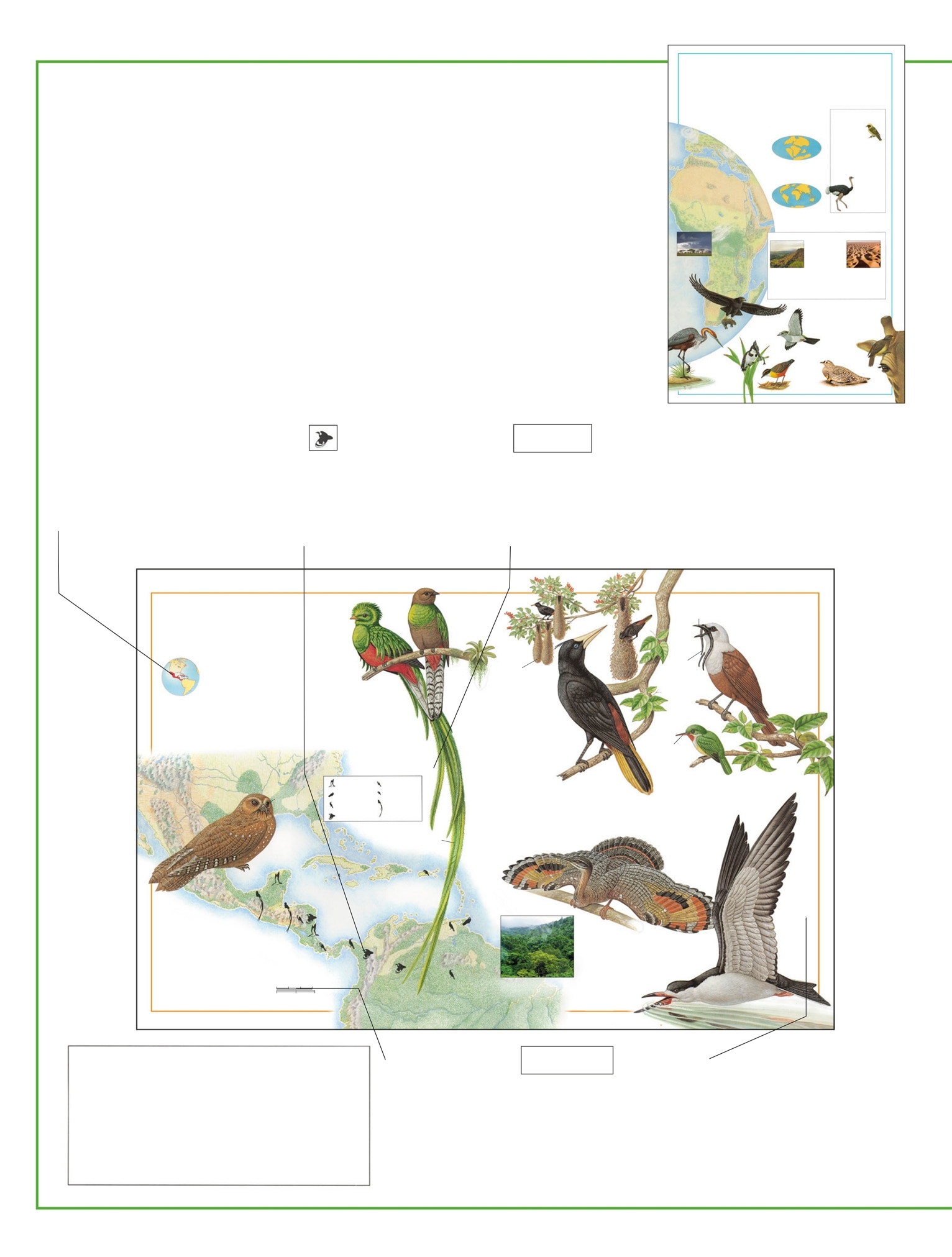 How to Use T his Atlas The bird atl as is arranged o of co Amc Euop Afc A - photo 5