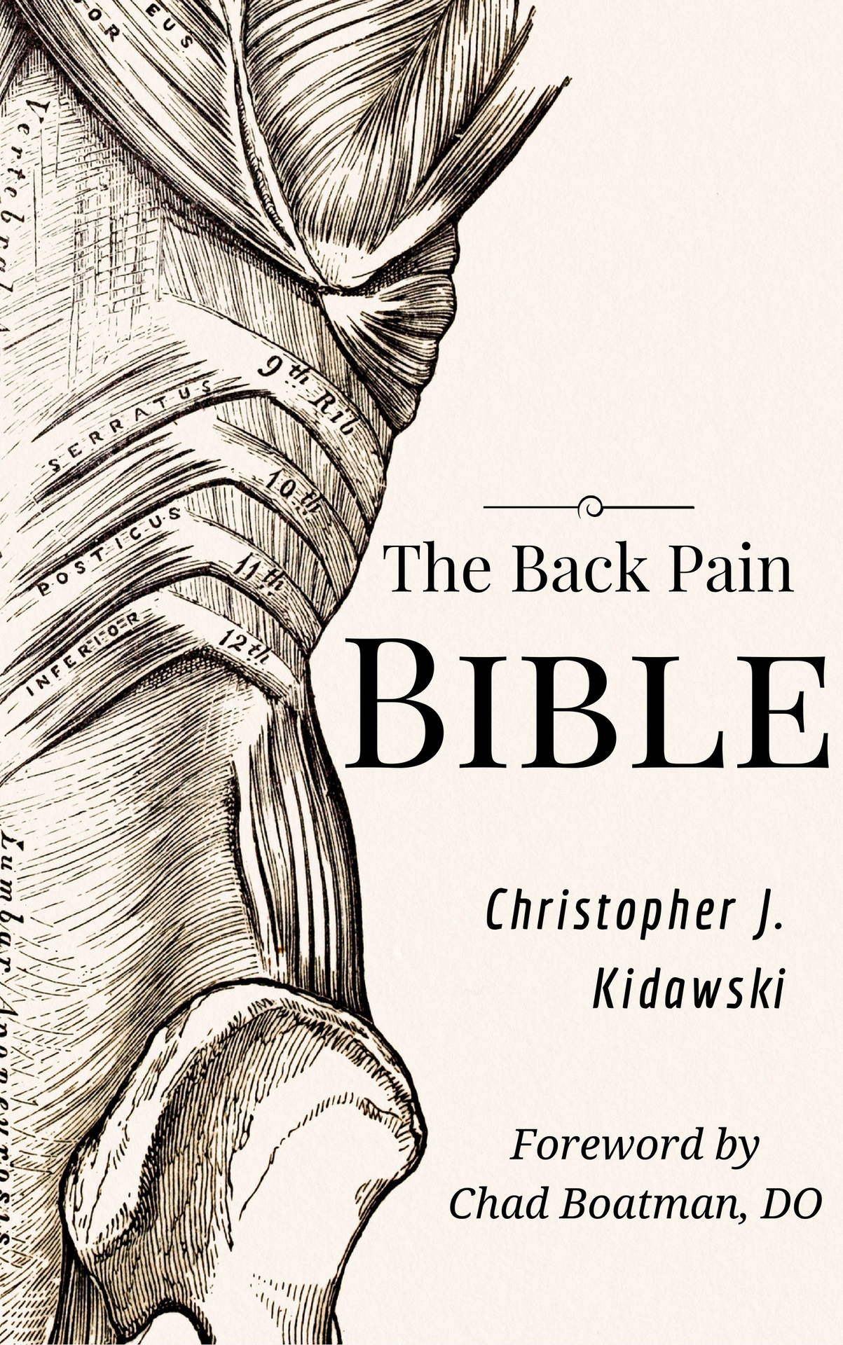 The Back Pain Bible A Breakthrough Step-By-Step Self-Treatment Process To End - photo 1