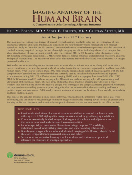 Borden Neil M. Imaging Anatomy of the Human Brain: A Comprehensive Atlas Including Adjacent Structures