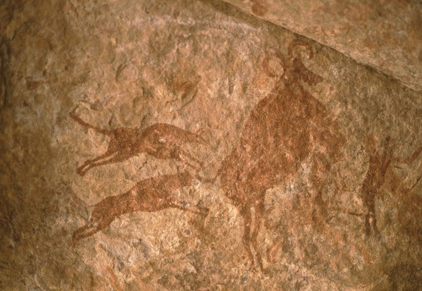 A picture of ancient rock art depicting two dogs attacking a sheep About - photo 1