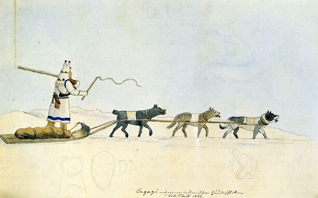 A 19 th century diagram of different sled dogs Isnt it strange that our - photo 3