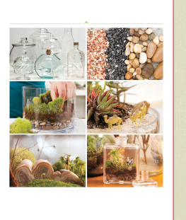 Inciarrano - Tiny World Terrariums: A Step-by-Step Guide to Easily Contained Life