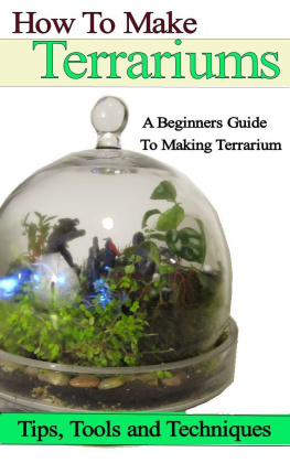 Kalif - How to Make Terrariums A Beginners Guide to Make Terrarium