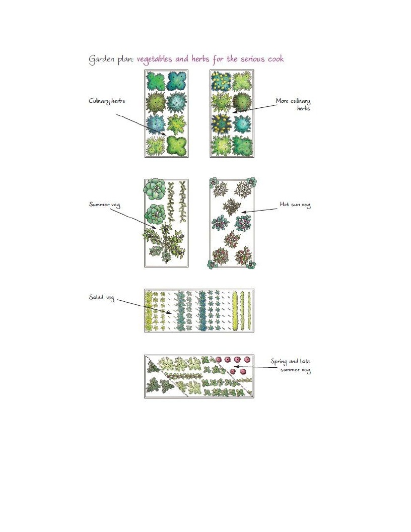 Growing Plants Plans For Your Kitchen Garden How To Develop A Vegetable Patch Basil And Fruitlet In Simple Stages - photo 22