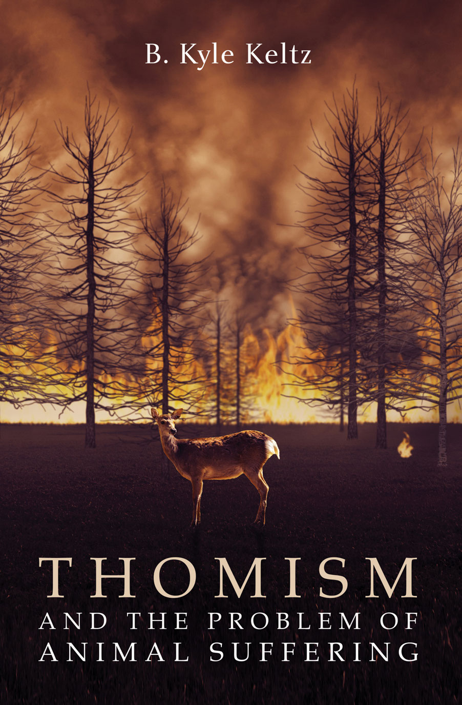 Thomism and the Problem of Animal Suffering B Kyle Keltz Thomism and - photo 1