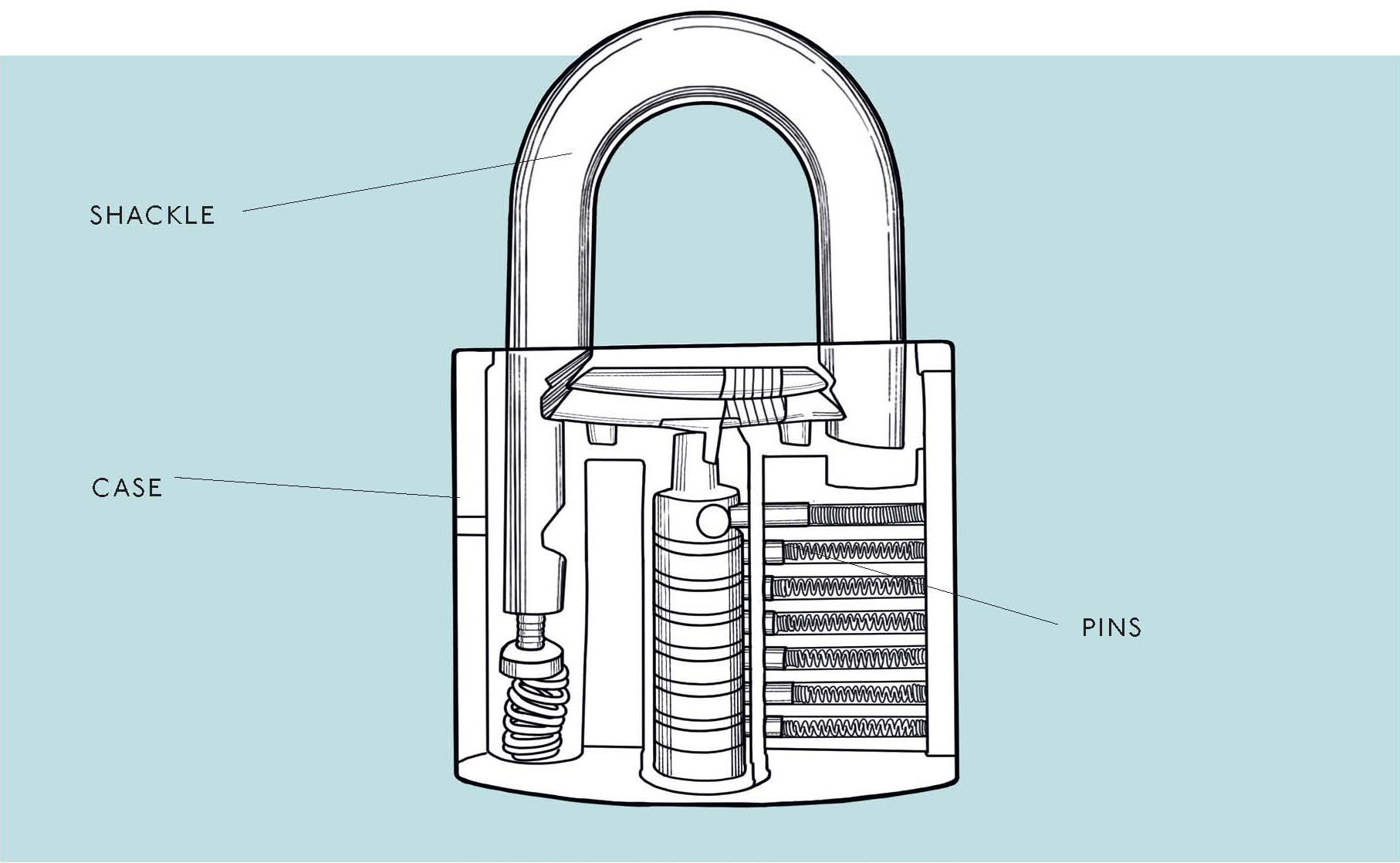 T o open a padlock or the cylinder lock of a door without a key you need to - photo 4