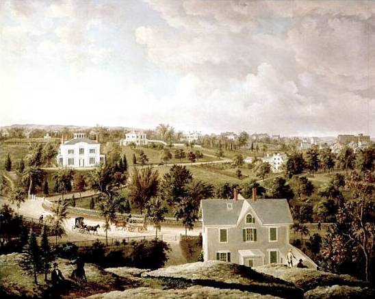 View of Roxbury by John W A Scott 1854 Guiney was born in Roxbury a - photo 19