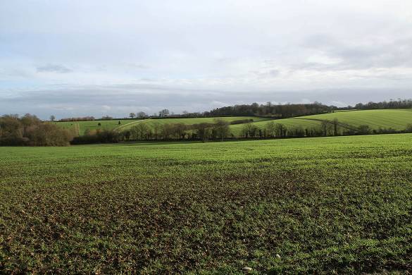 Countryside surrounding the small village of Stanningfield Appearance is - photo 17