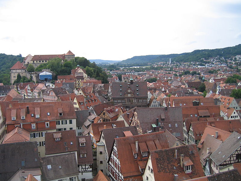 Tbingen Altstadt from the Stiftskirche bell tower The Phenomenology of Spirit - photo 22