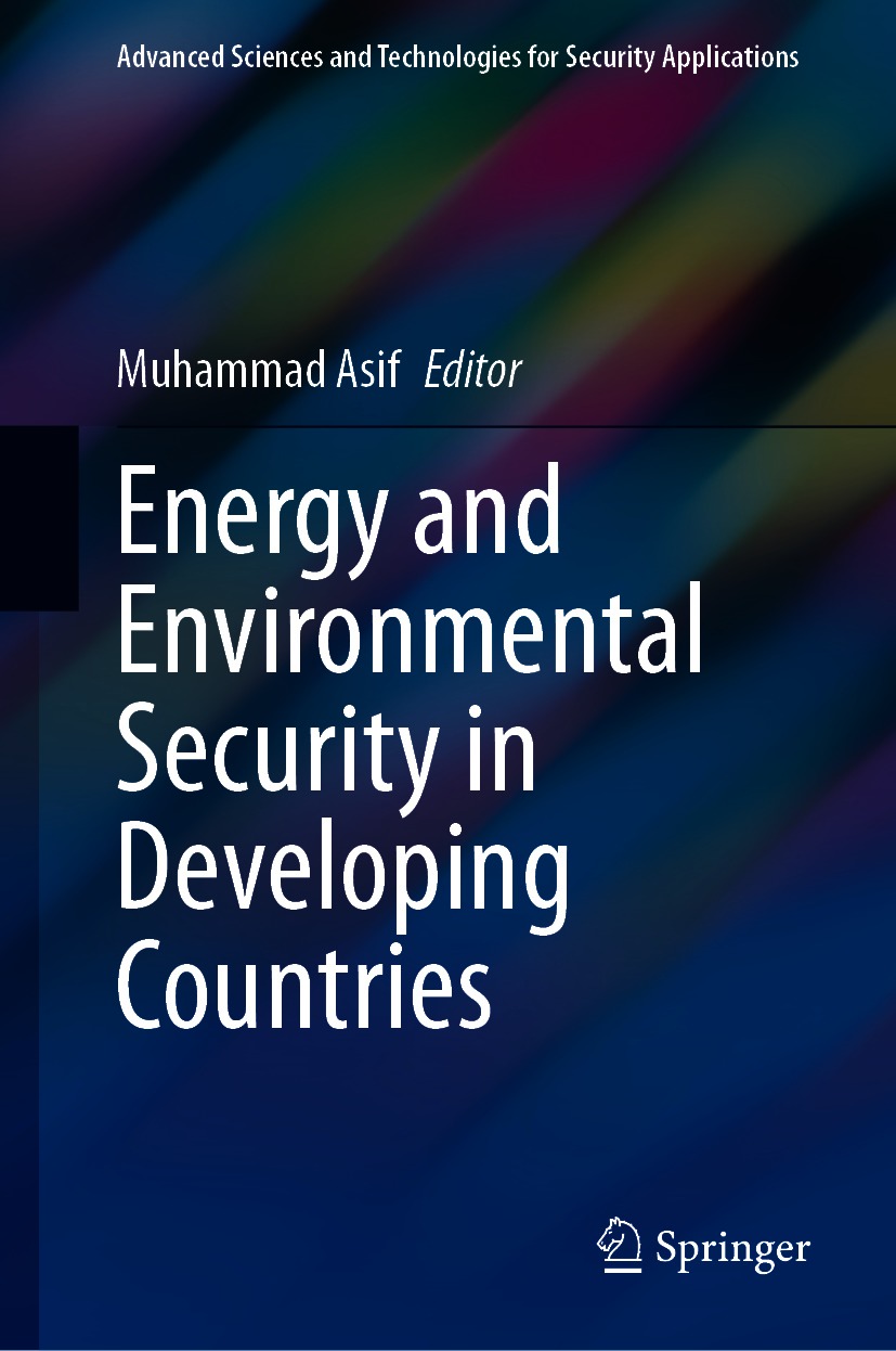 Book cover of Energy and Environmental Security in Developing Countries - photo 1