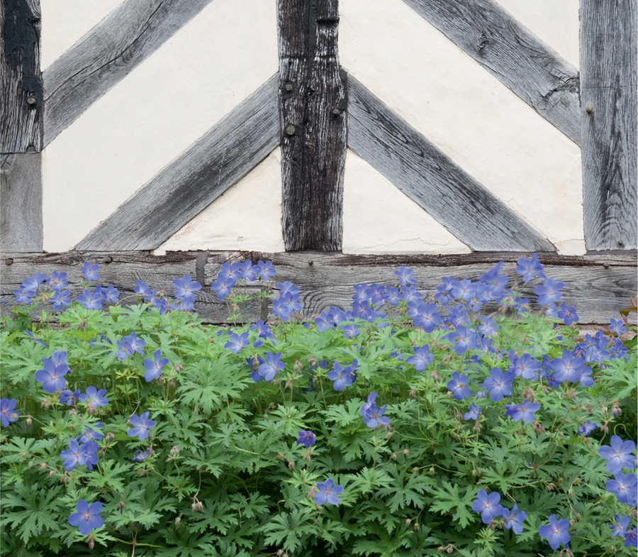 Contents Picture a thatched cottage on a beautiful summers day A rustic - photo 4