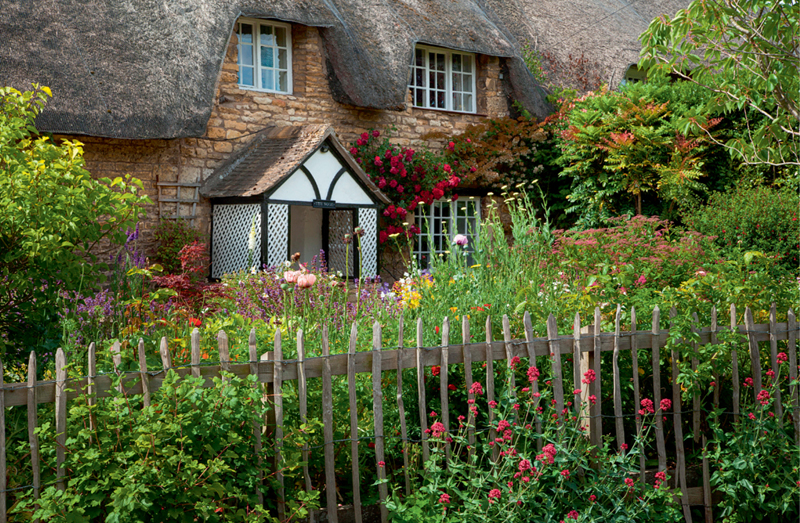 Many of the flowers in this front garden such as the poppies and the red - photo 8