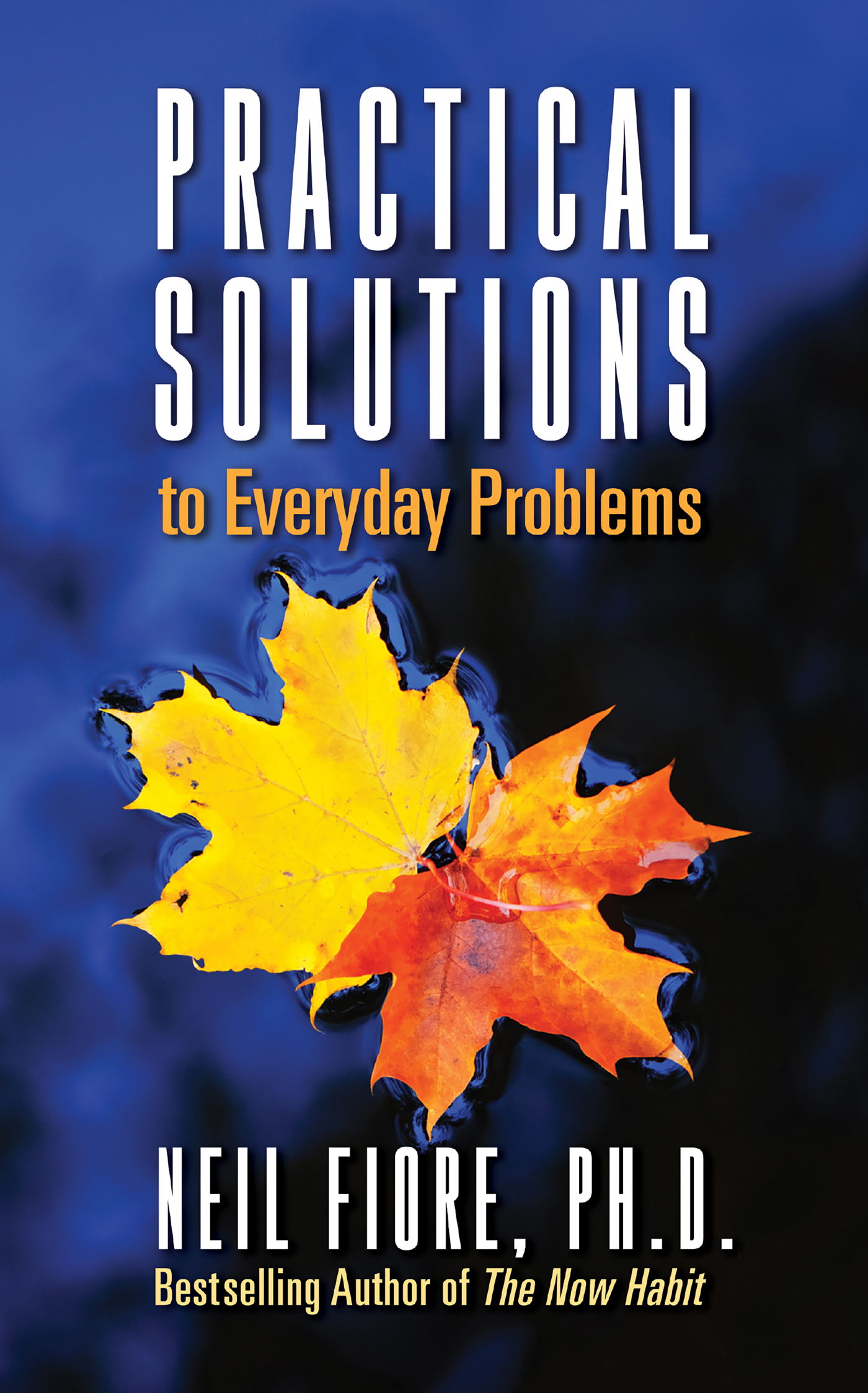 Practical Solutions to Everyday Problems - image 1