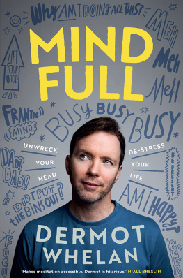 Dermot Whelan - Mind Full: Unwreck your head, De-stress your life