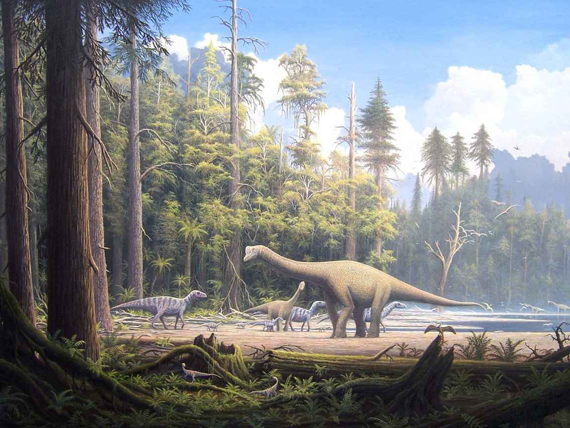 Gerhard Boeggemanns depiction of the landscape during the Jurassic About - photo 1