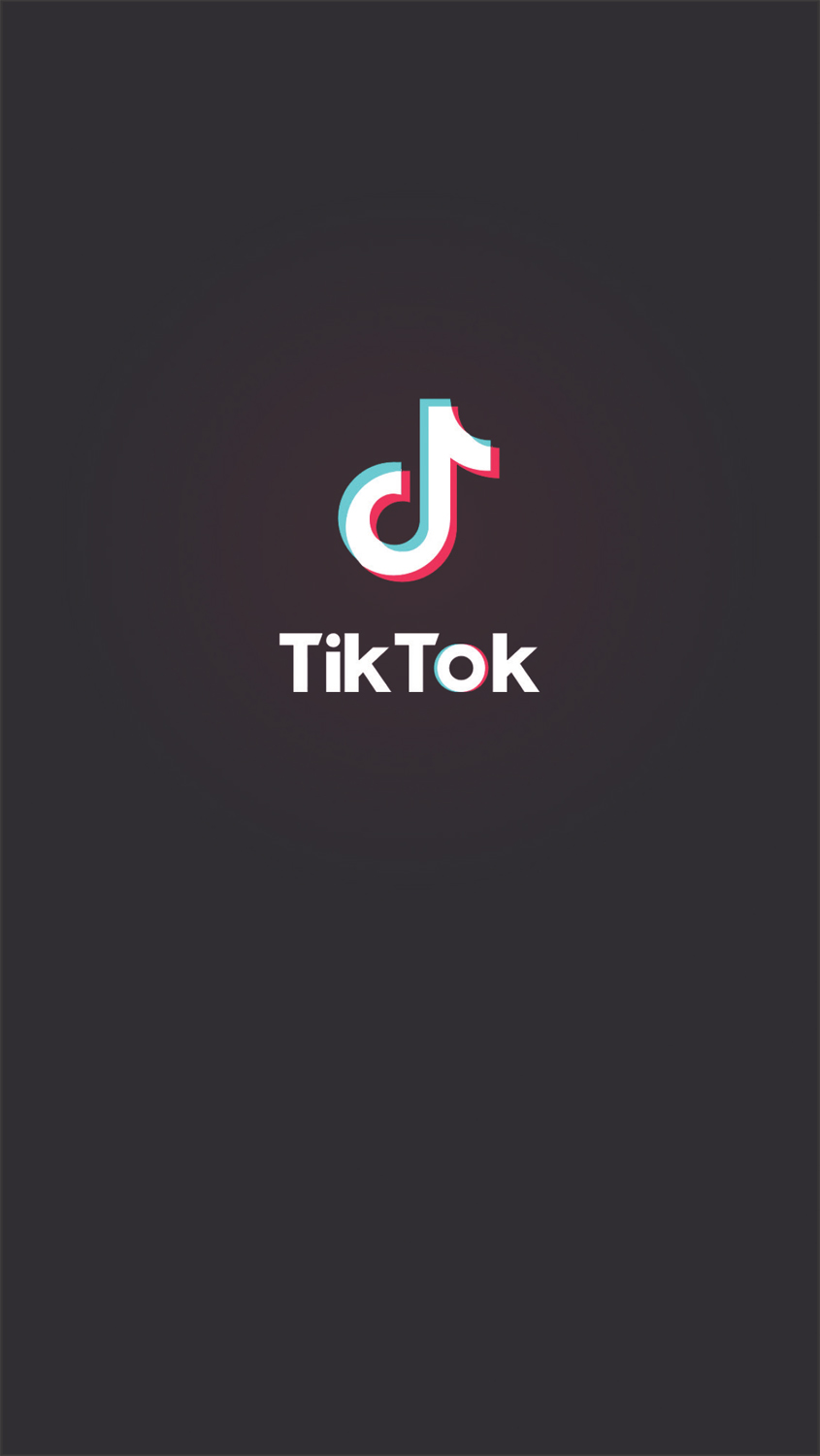 TIKTOK WHAT Y es you know what TikTok is and you may even feel like a book - photo 3