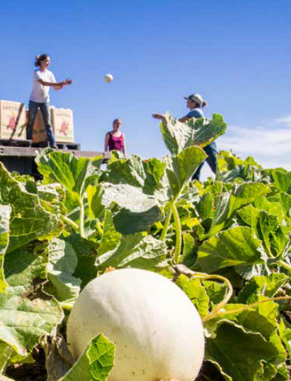 FROM FARMS TO INCUBATORS Women Innovators Revolutionizing How Our Food Is - photo 4