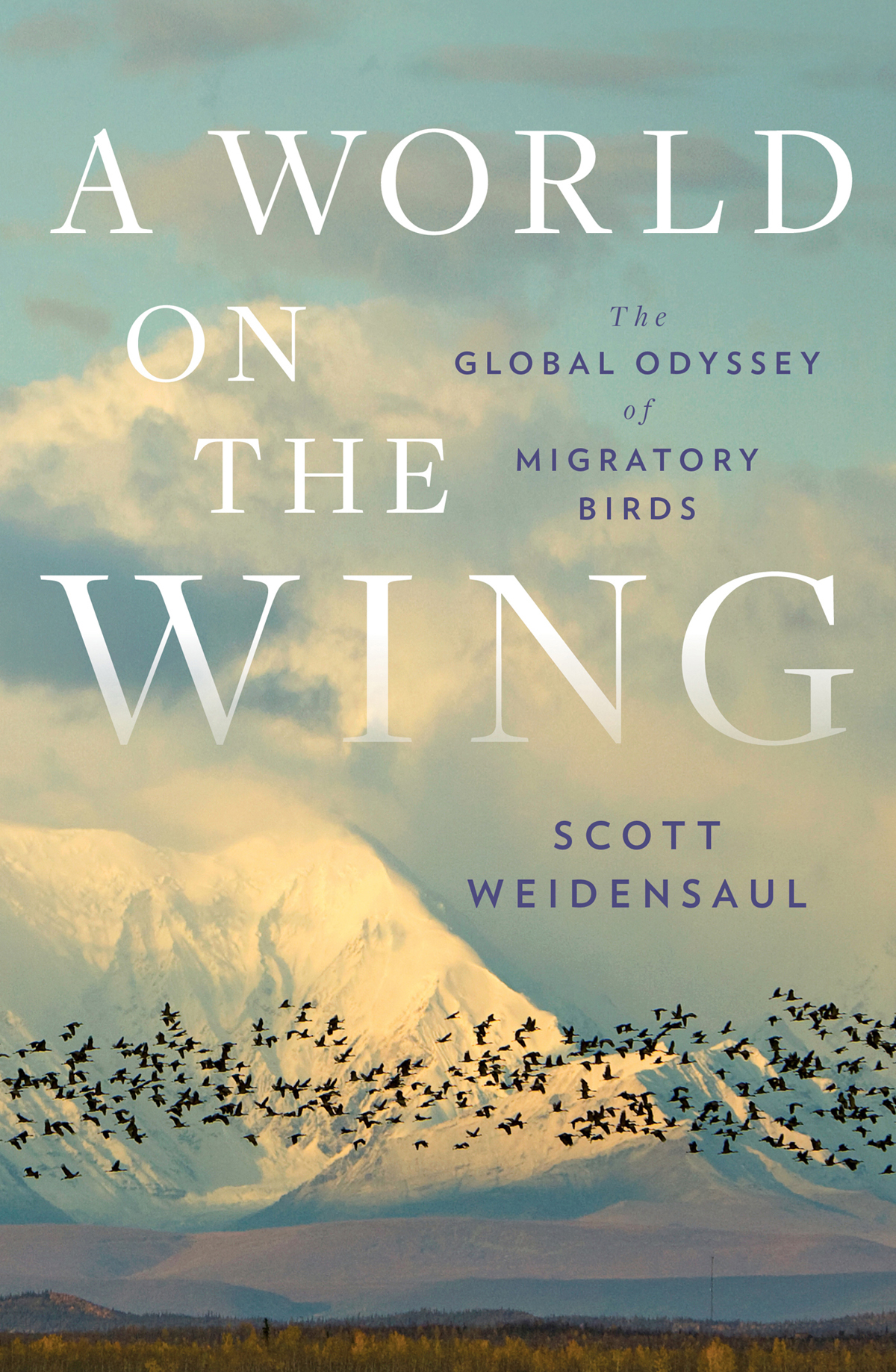 A WORLD on the WING The Global Odyssey of Migratory Birds - photo 1