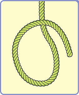 The loop is just thata loop in the rope wherein the ends of the rope cross - photo 5