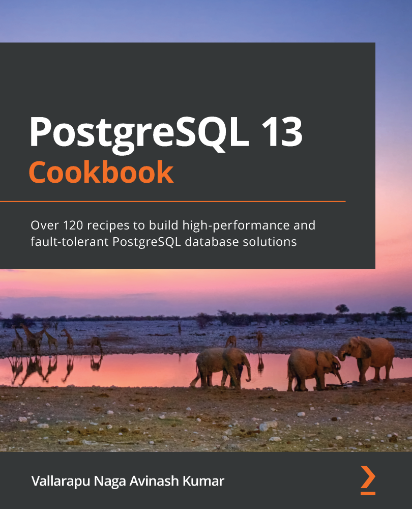 PostgreSQL 13 Cookbook Over 120 recipes to build high-performance and - photo 1