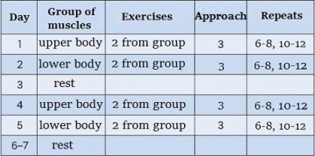 By increasing the amount of work on each muscle group you can train the - photo 2