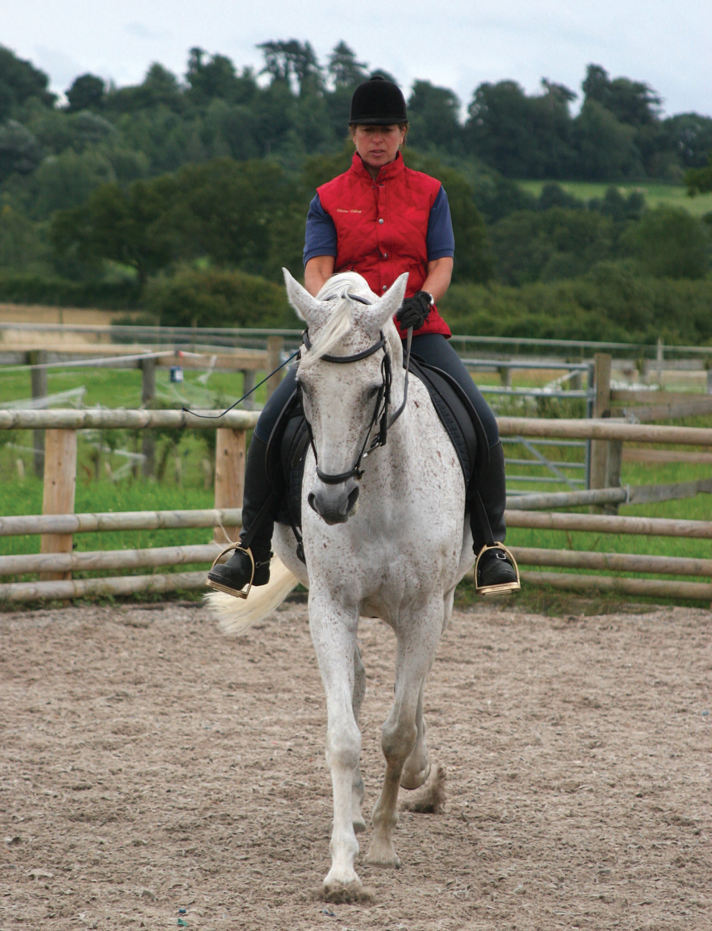 The Psychology of Horsemanship UNDERSTANDING THE HORSE AND YOU CLAIRE LILLEY - photo 2