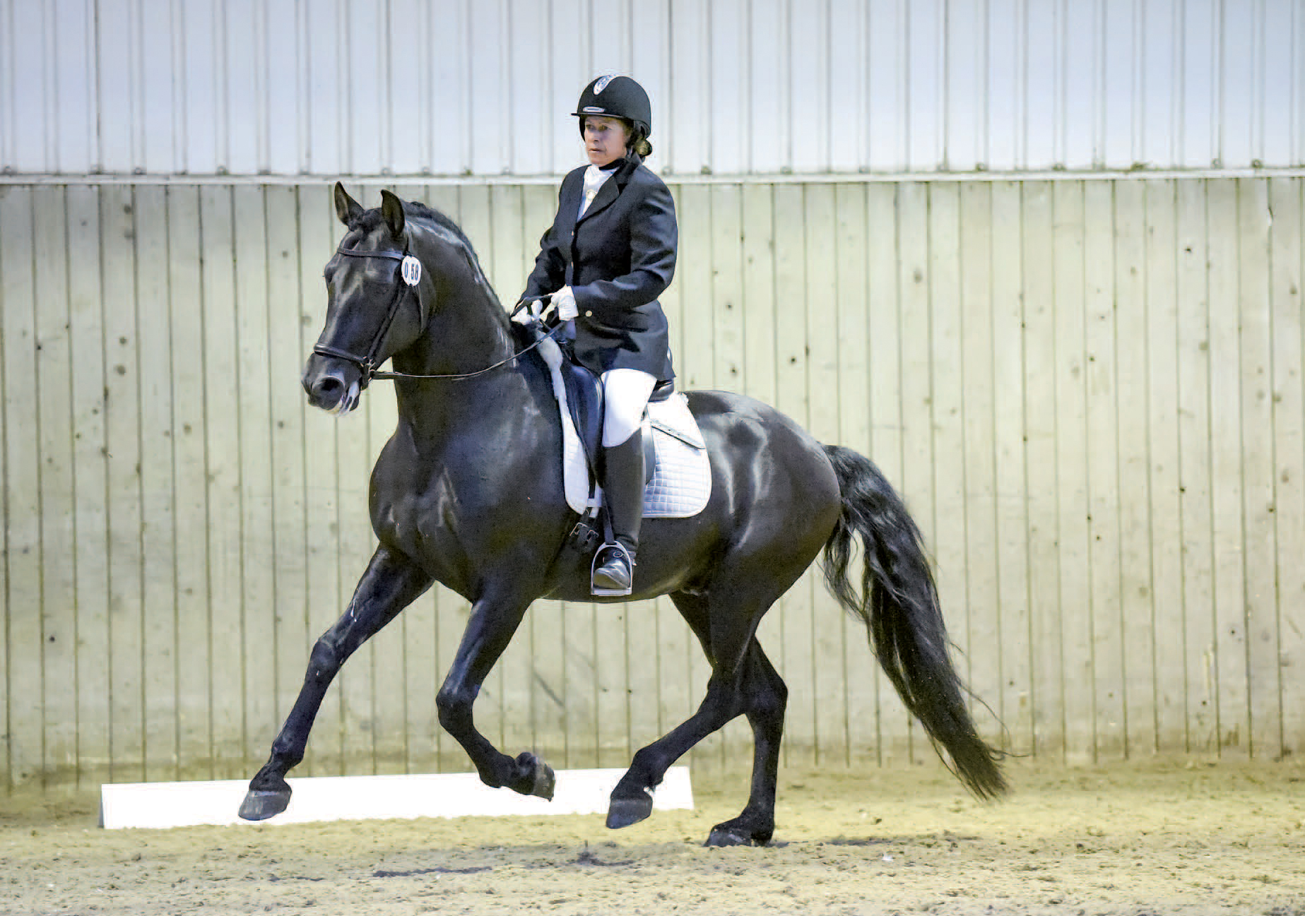 A special bond between horse and rider where the magic just happens is a - photo 4