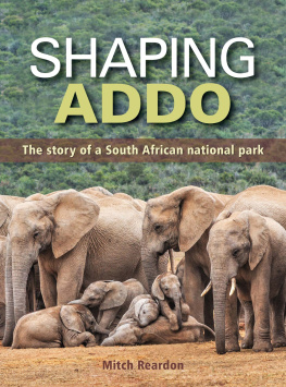 Mitch Reardon - Shaping Addo