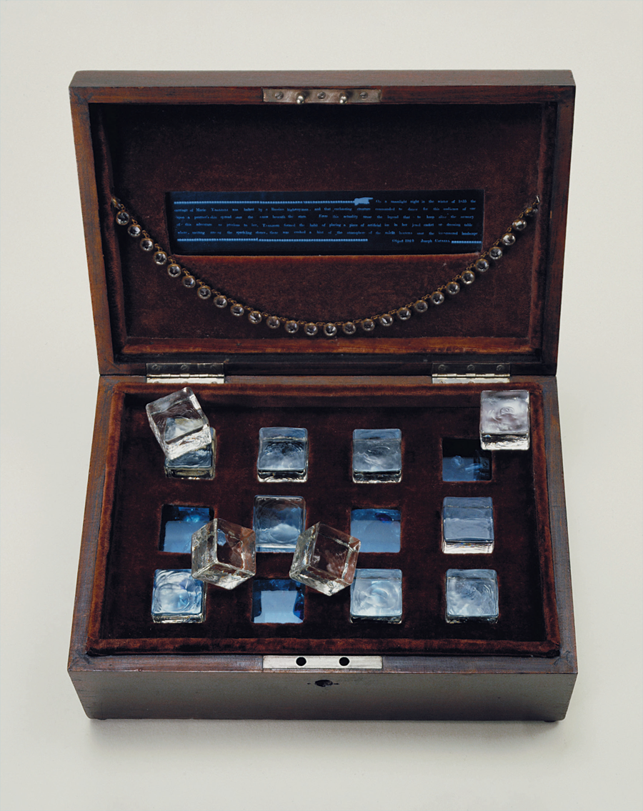 FIG P1 Joseph Cornell Taglionis Jewel Casket 1940 Velvet-lined wooden box - photo 8