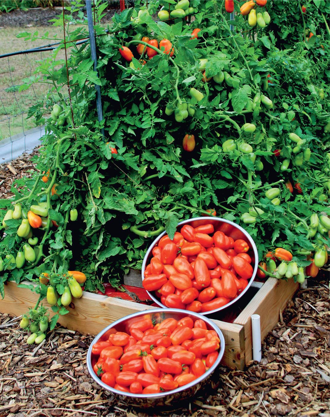 A bountiful harvest is the goal of vegetable gardeners everywhere Growing your - photo 9