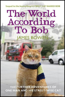 James Bowen The World According to Bob