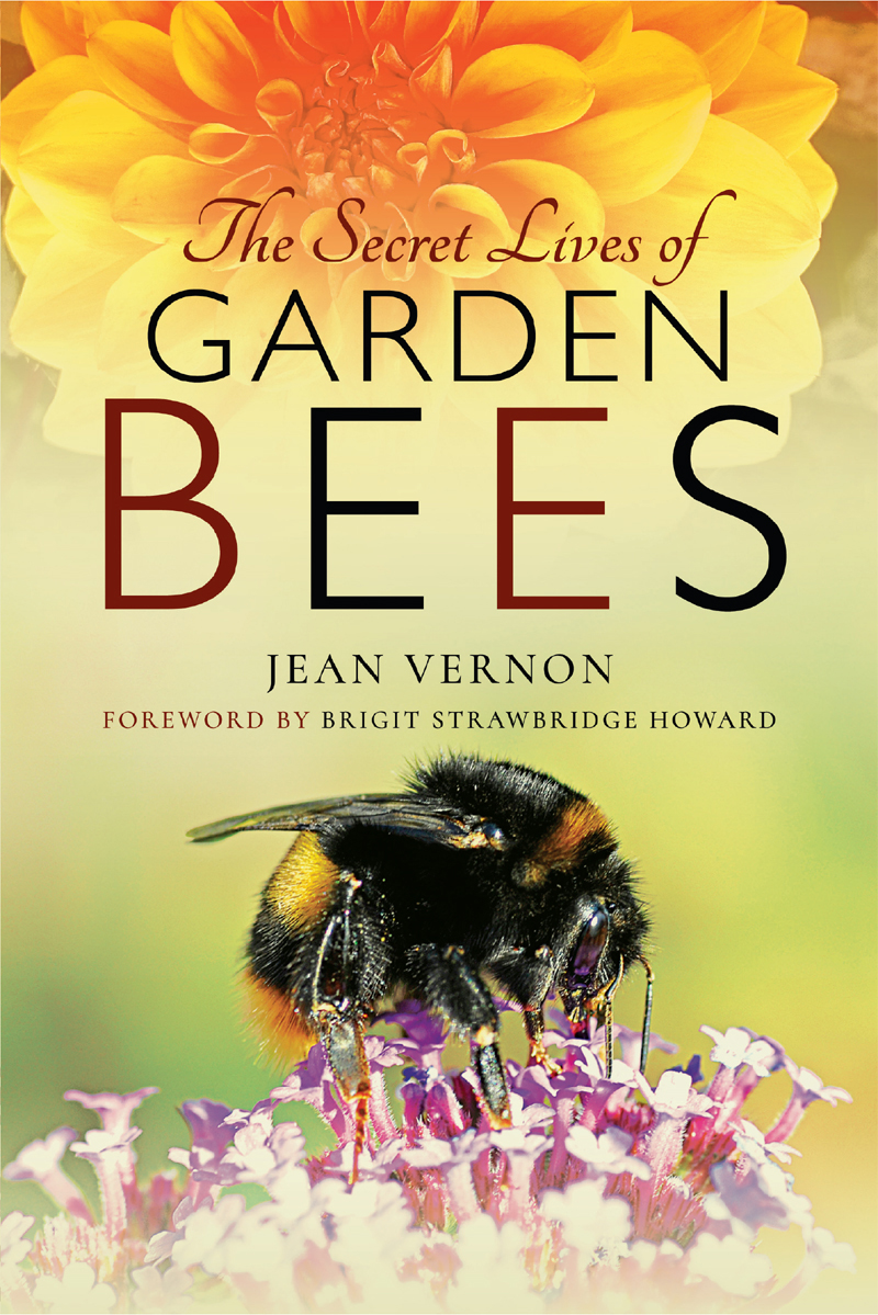 THE SECRET LIVES OF GARDEN BEES This book is dedicated to my wonderful mum - photo 1